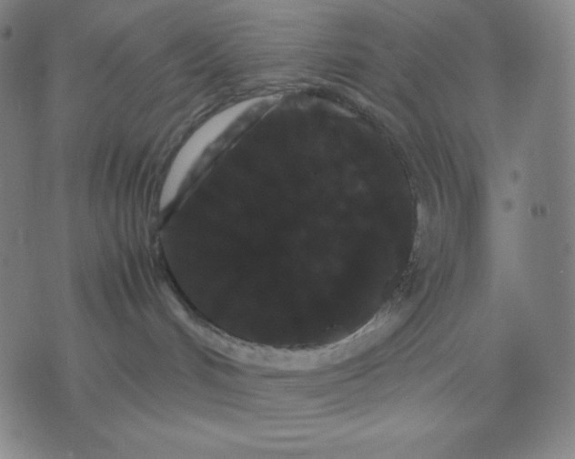 X0000071790048200607211633