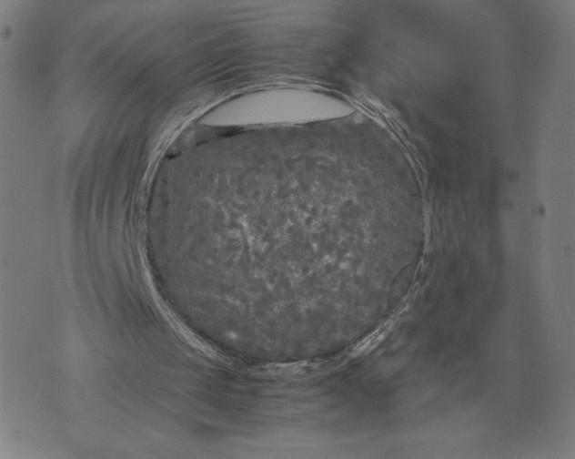 X0000071790049200607211632