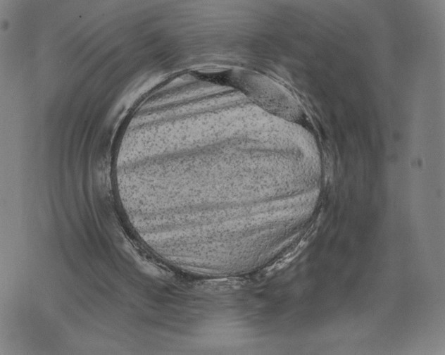 X0000071790050200607211632