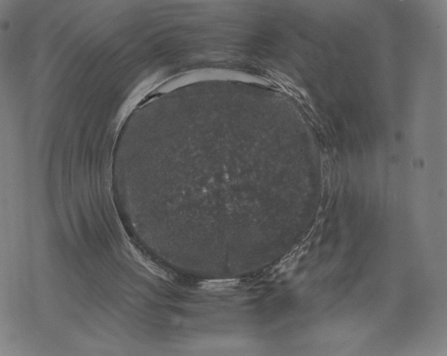 X0000071790051200607211632