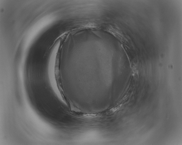 X0000071790052200607211632