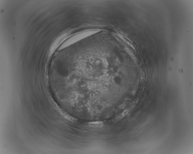 X0000071790053200607211632