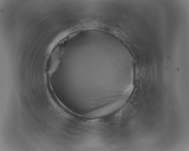 X0000071790054200607211632