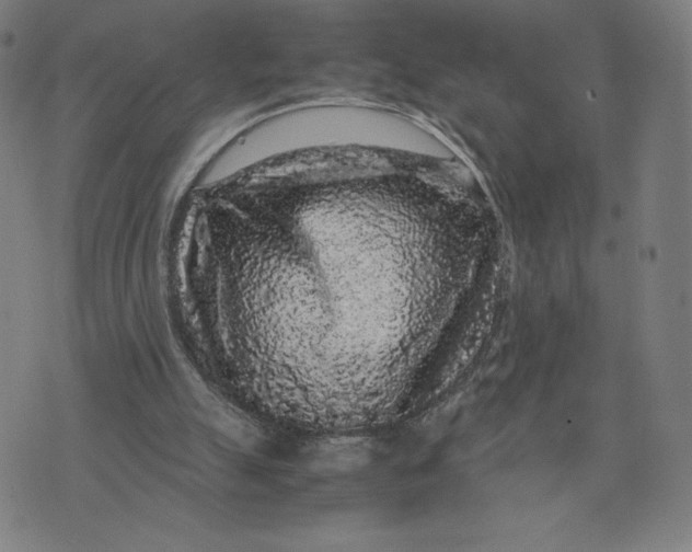 X0000071790055200607211632