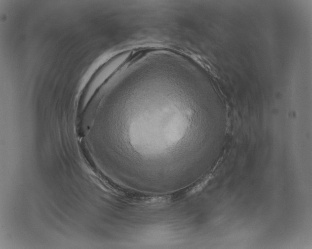 X0000071790056200607211632