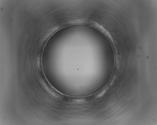 X0000071790057200607211632