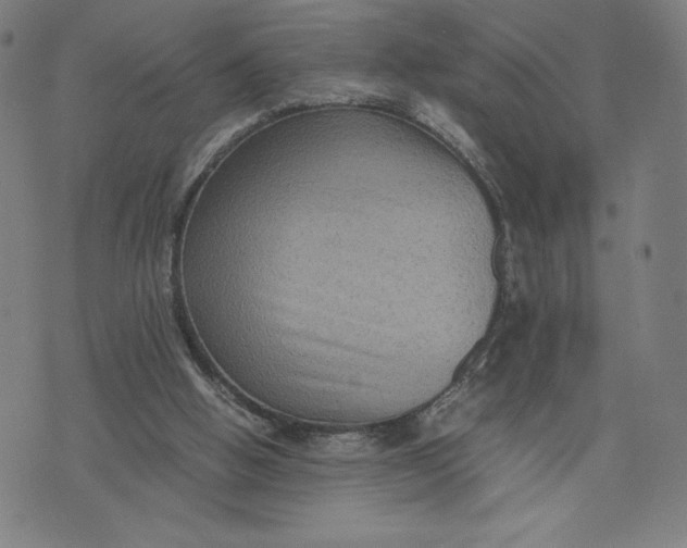 X0000071790058200607211632