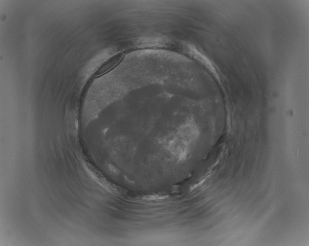 X0000071790059200607211632