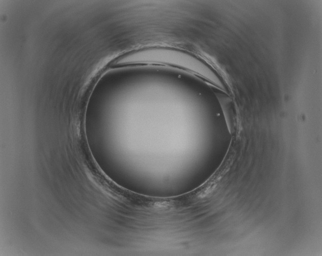 X0000071790060200607211632