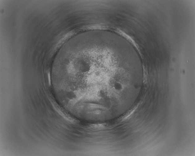 X0000071790061200607211632