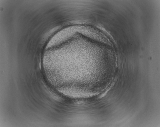 X0000071790062200607211632