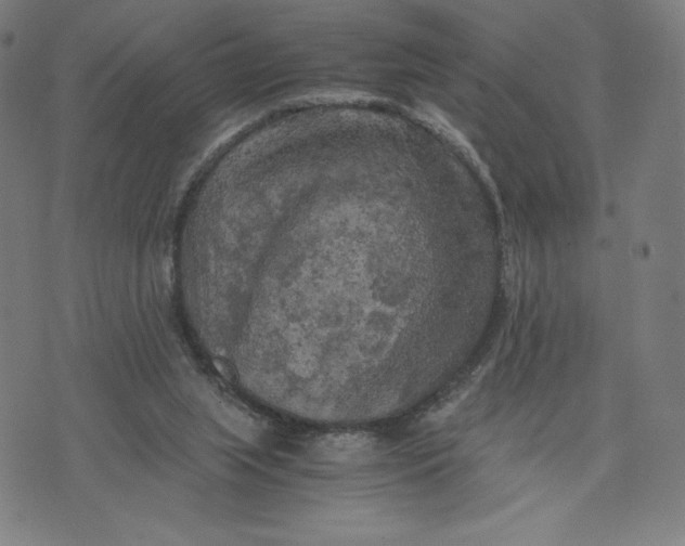 X0000071790063200607211632