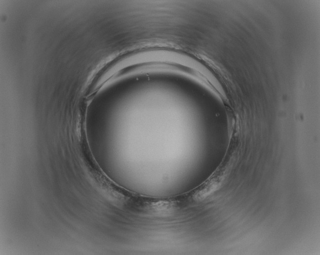 X0000071790064200607211632