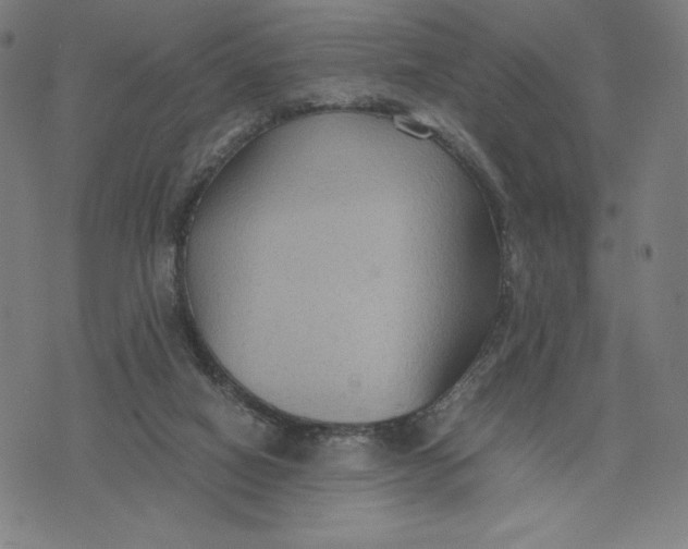 X0000071790066200607211632