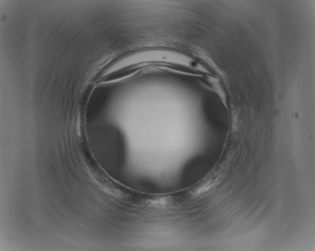 X0000071790068200607211632