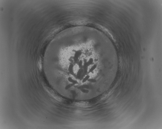 X0000071790069200607211632