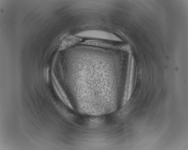 X0000071790070200607211632