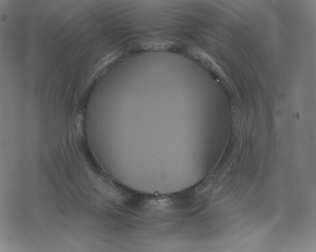 X0000071790071200607211632