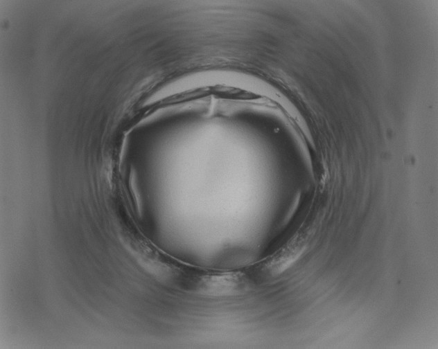 X0000071790072200607211632