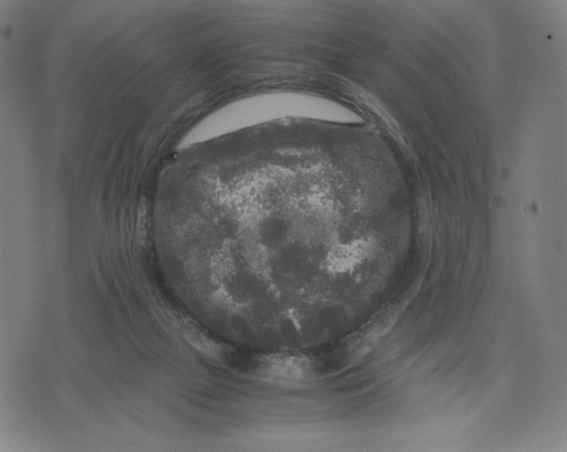 X0000071790073200607211632