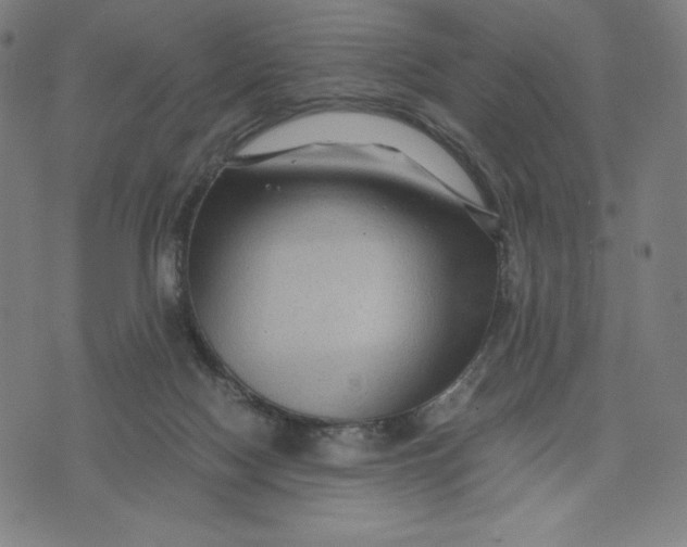 X0000071790074200607211632