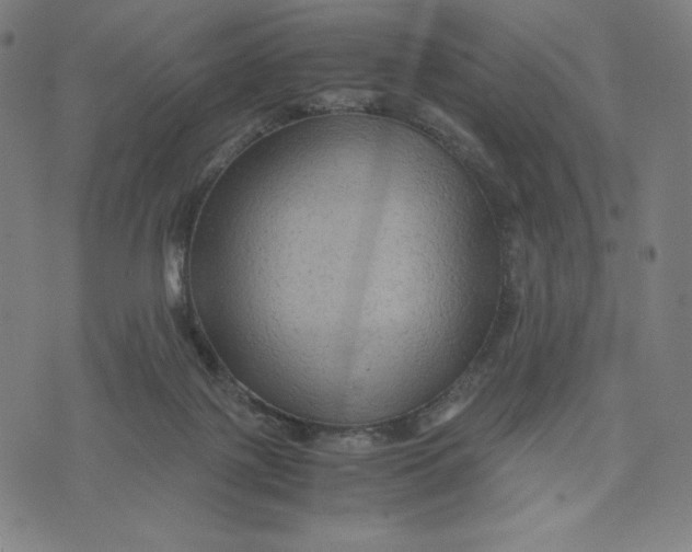 X0000071790075200607211632