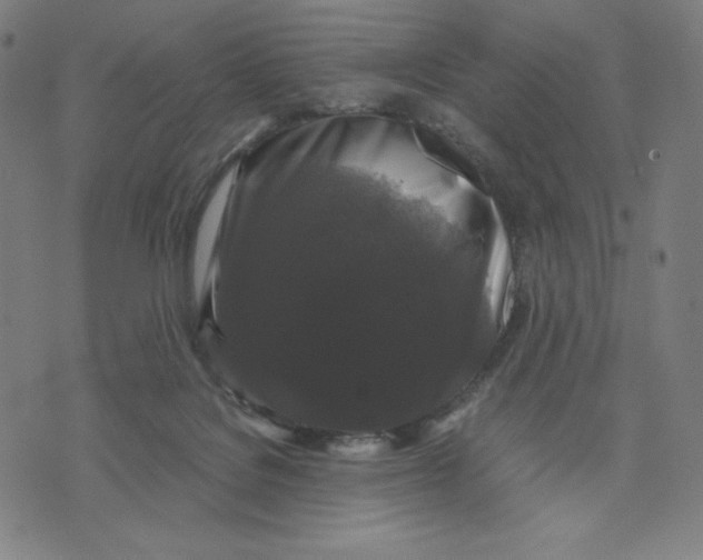 X0000071790076200607211632