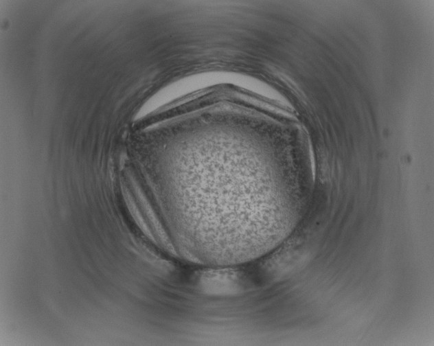 X0000071790077200607211632