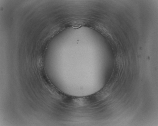 X0000071790079200607211632