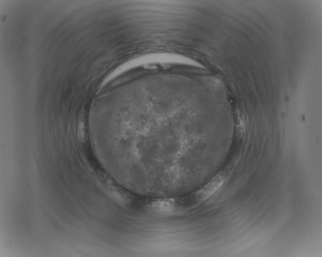 X0000071790080200607211632