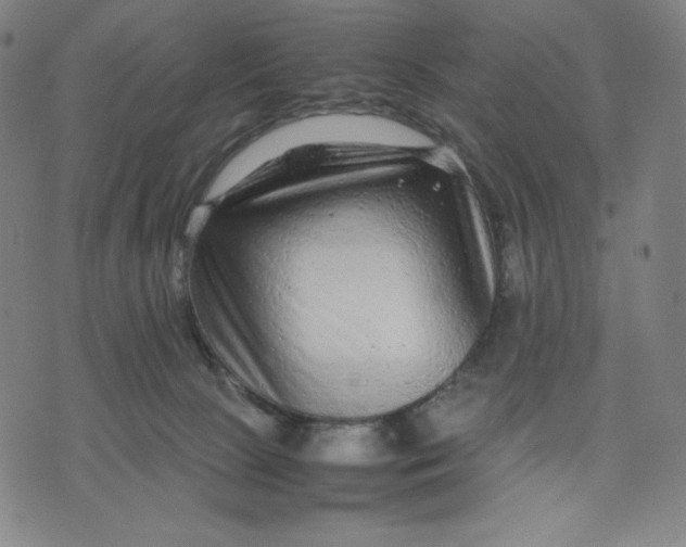 X0000071790081200607211632