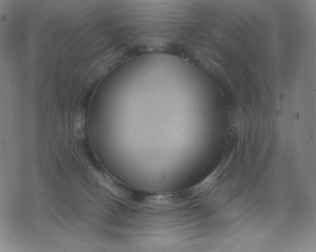 X0000071790082200607211632