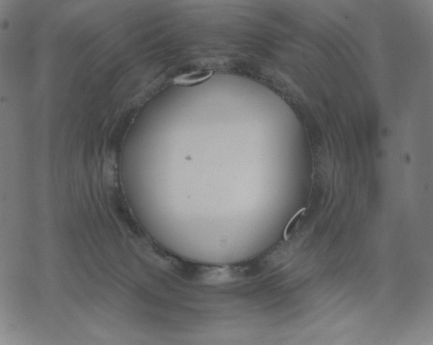 X0000071790083200607211633