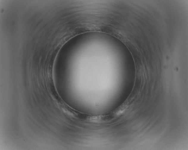 X0000071790084200607211633