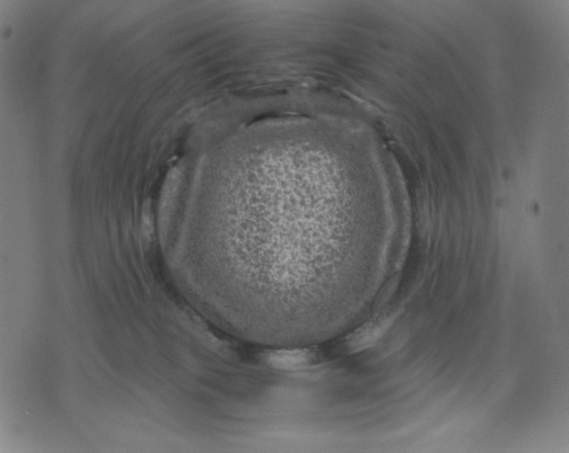 X0000071790085200607211633