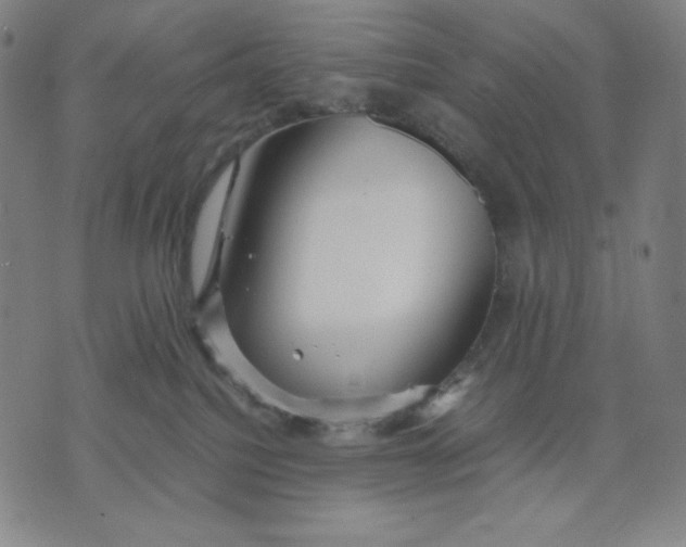 X0000071790088200607211633