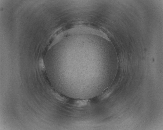 X0000071790089200607211633