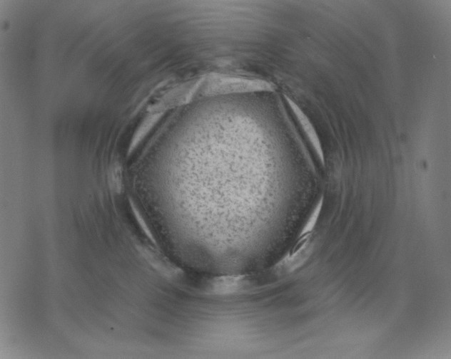 X0000071790090200607211633