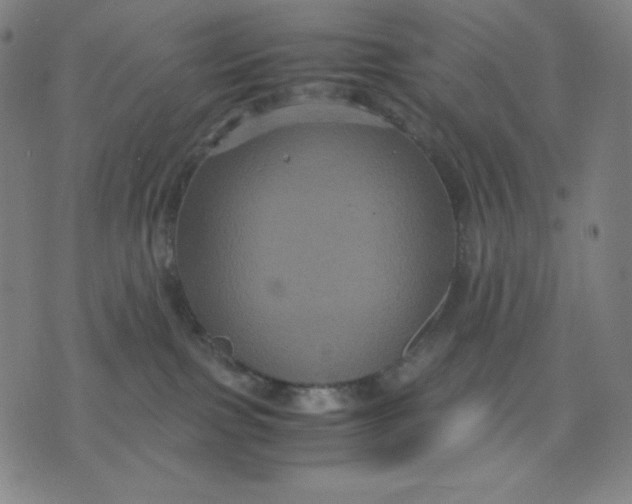 X0000071790091200607211633