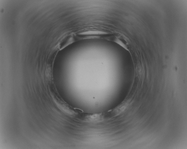 X0000071790092200607211633