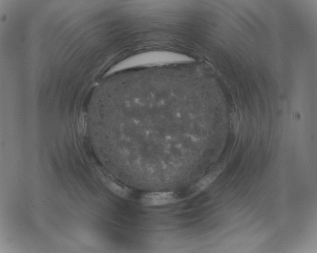 X0000071790093200607211633