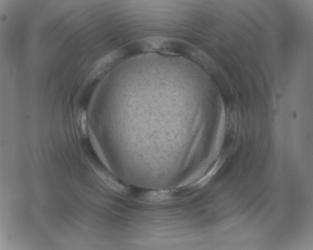 X0000071790094200607211633