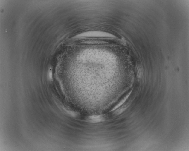 X0000071790095200607211633