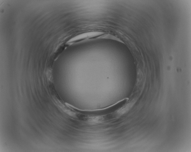 X0000071790096200607211633