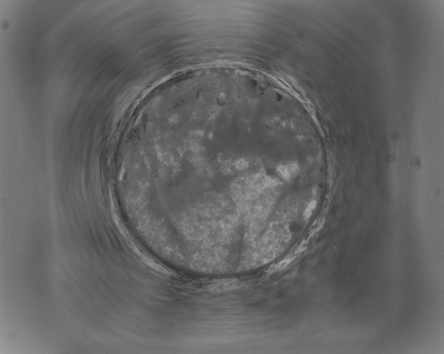 X0000071790097200607211632