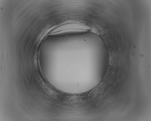 X0000071790098200607211632