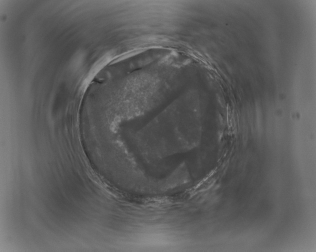 X0000071790099200607211632