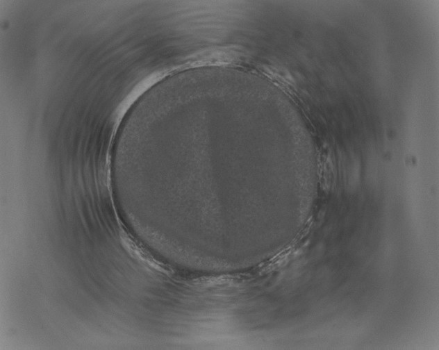 X0000071790100200607211632