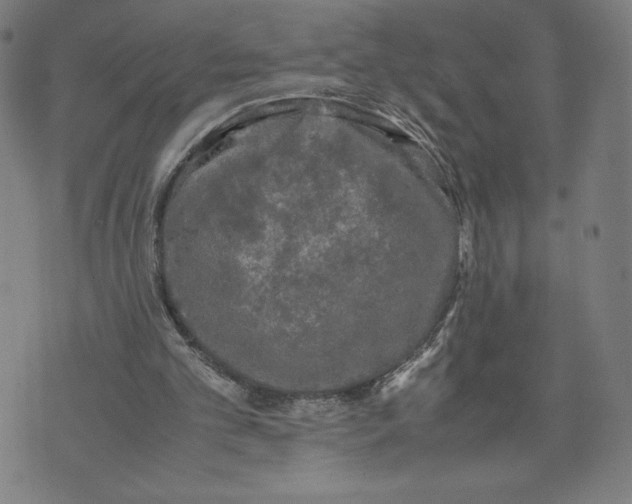 X0000071790101200607211632