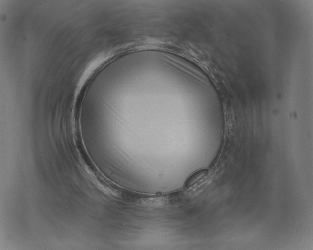 X0000071790102200607211632